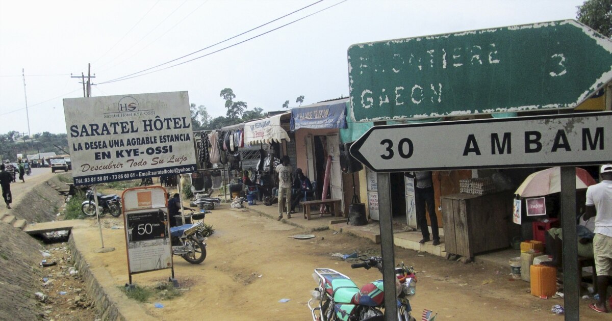 Cameroon, Gabon Reinforce Travel Restrictions After Equatorial Guinea Confirms Marburg Cases