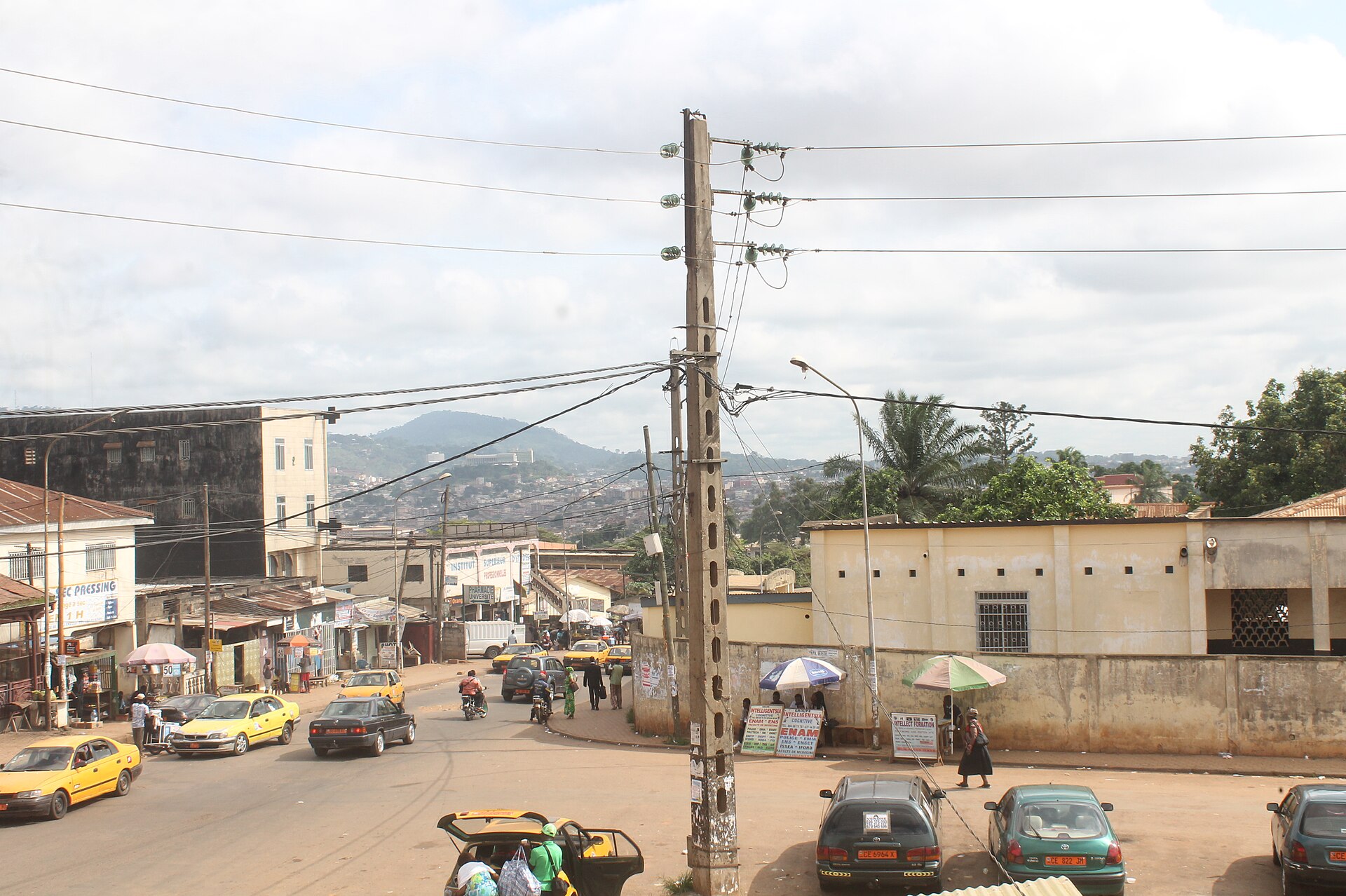 Cameroon Succession Rules: Who Takes Over If Biya Goes