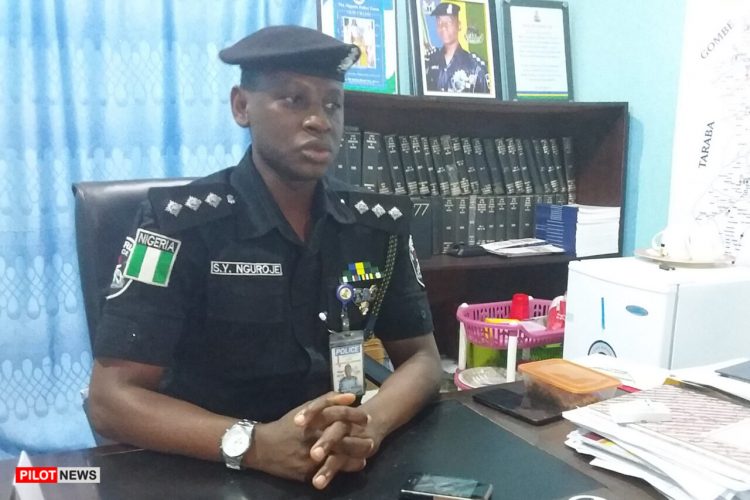 Cameroonian, accomplice arrested for suspected drug trafficking in Adamawa